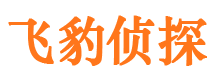 台前市私家侦探